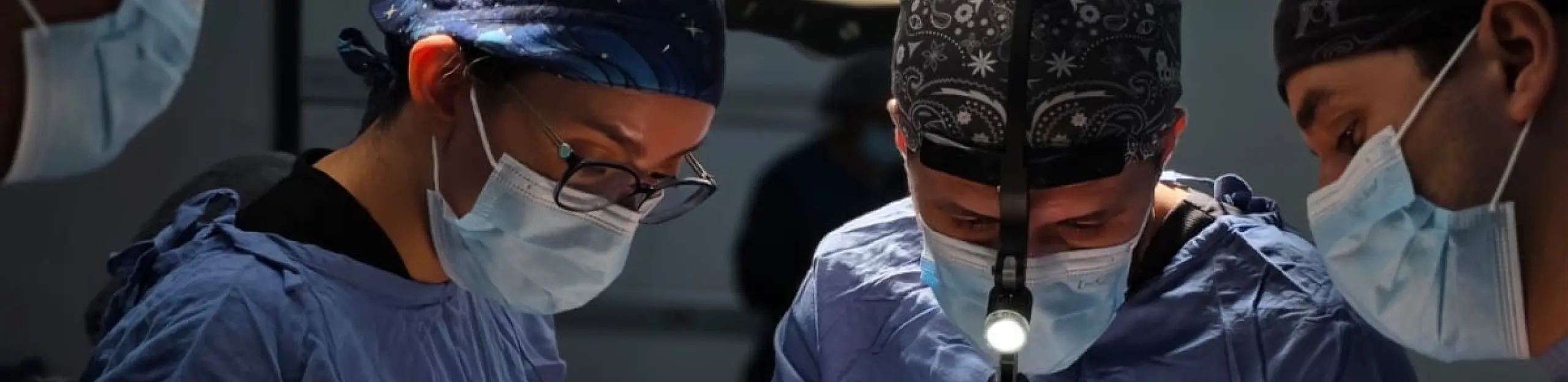 Equipo Multidisciplinario