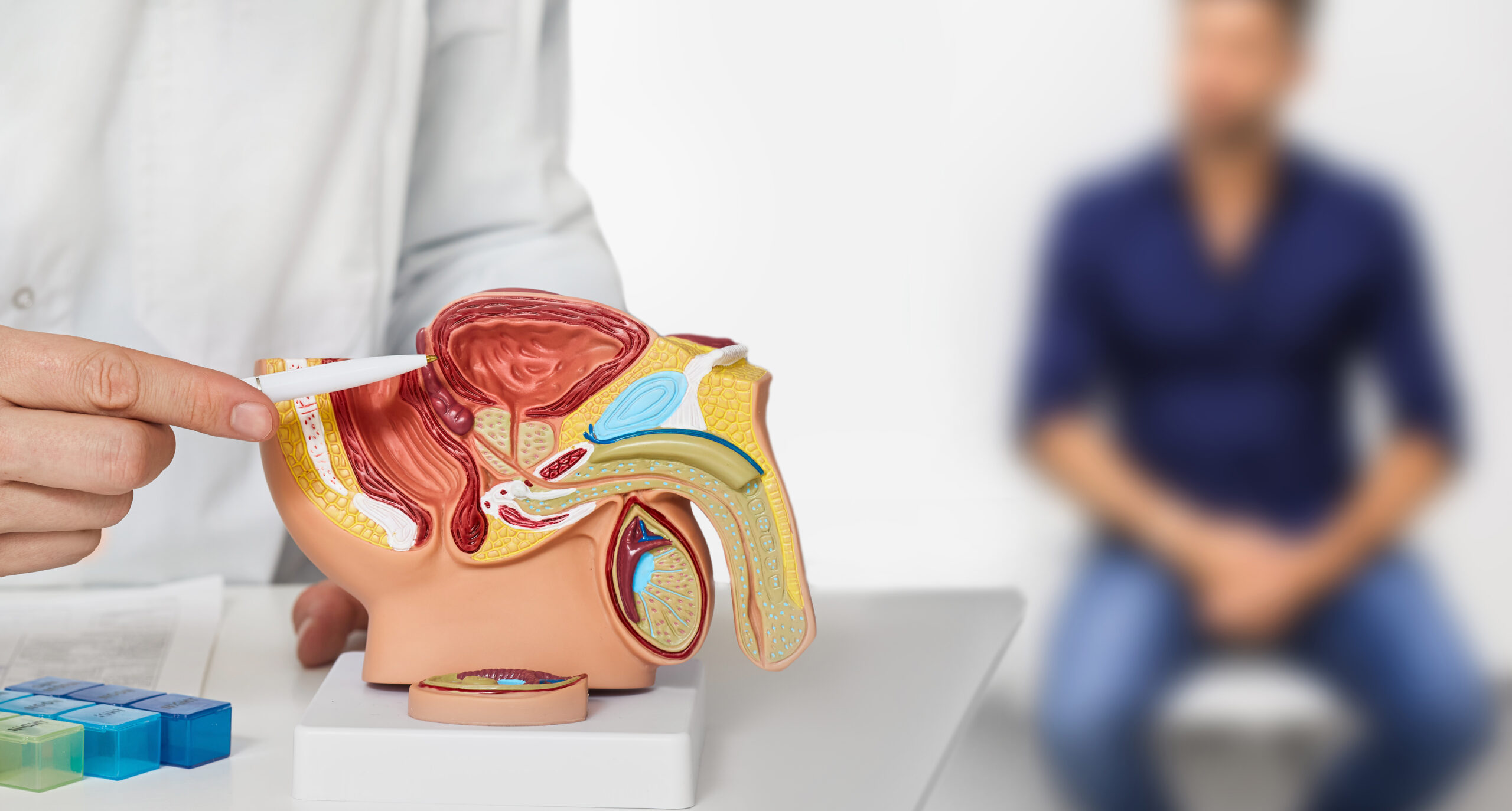 Prevención y diagnóstico del cáncer de próstata